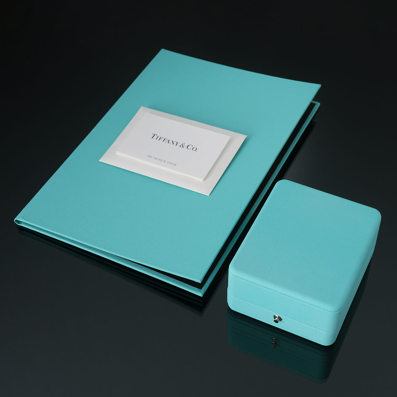 TIFFANY & CO.(USED)티파니 1.24ct 다이아 네크리스