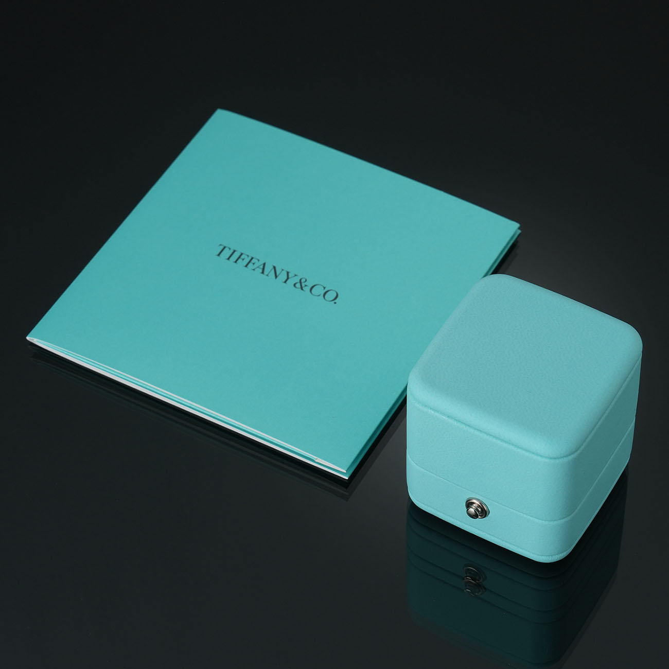TIFFANY & CO.(USED)티파니 T 다이아 와이어 밴드 링 #49