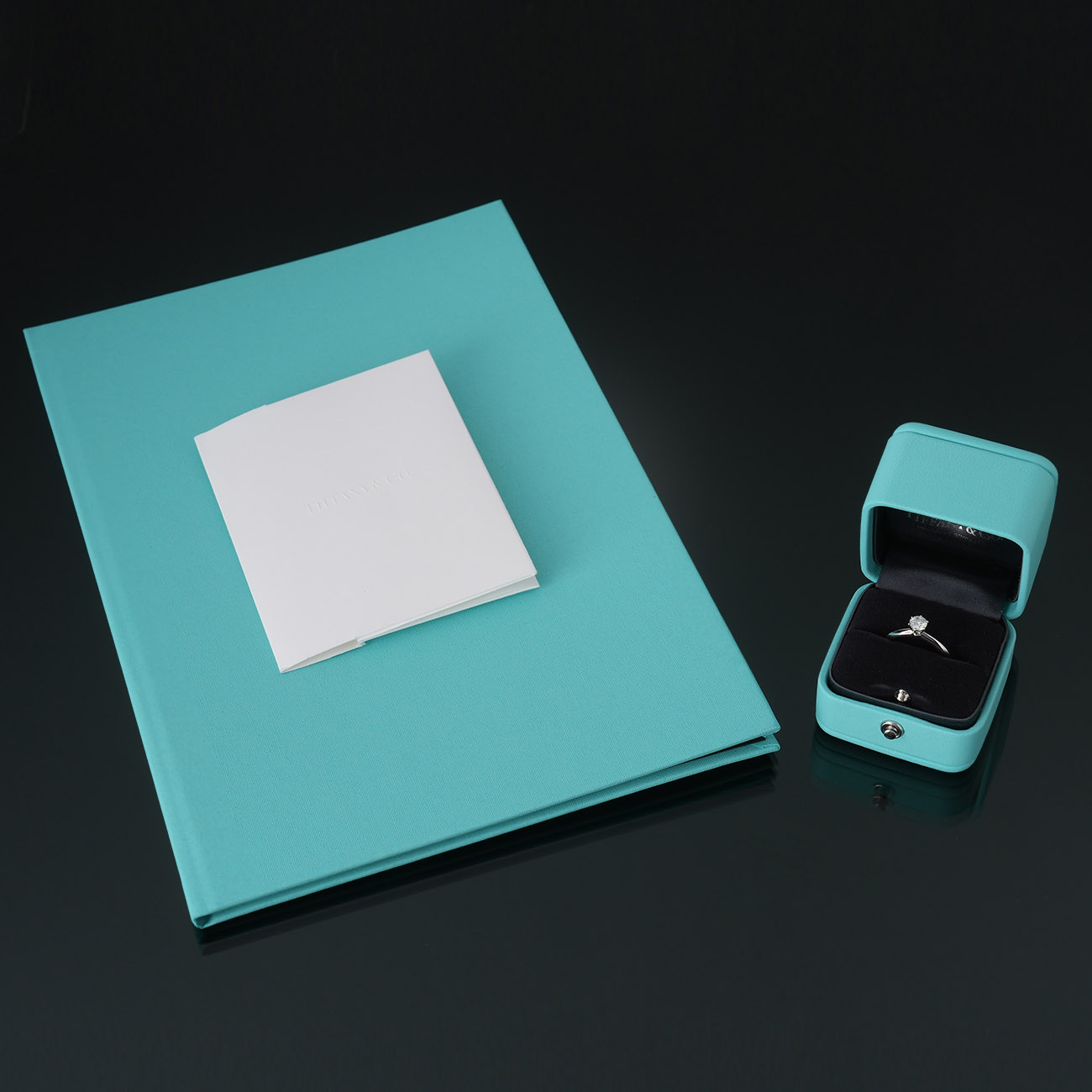 TIFFANY & CO.(USED)티파니 0.42ct 다이아 웨딩밴드 #52