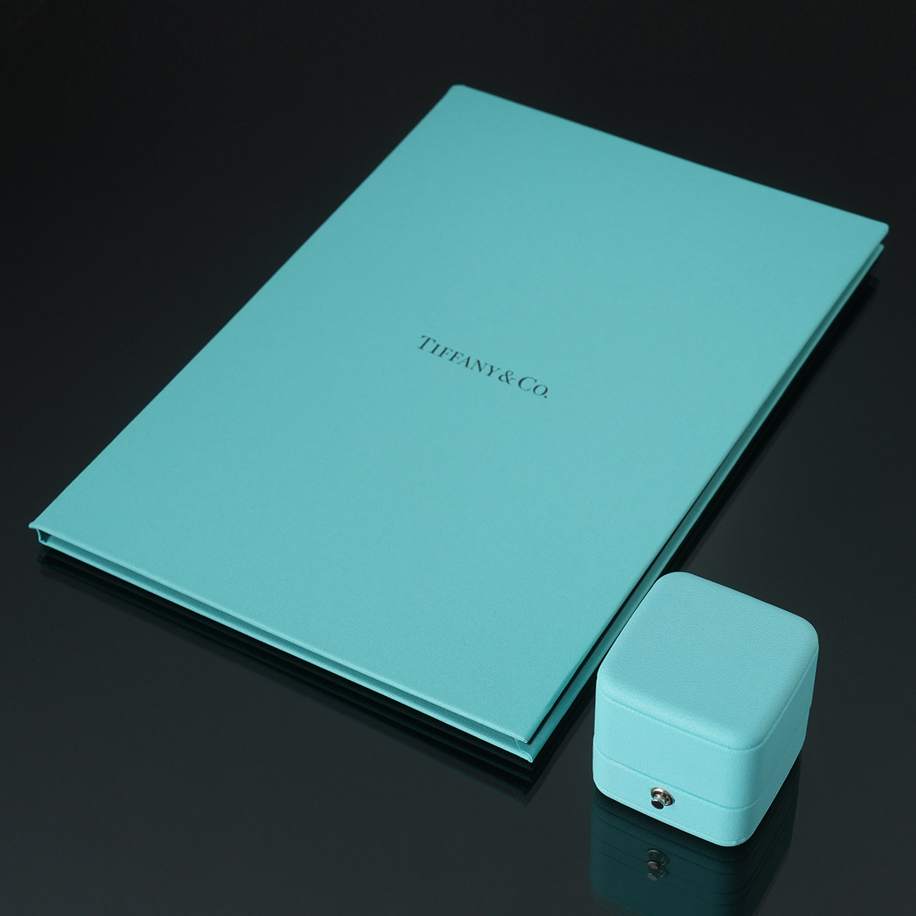 TIFFANY & CO.(USED)티파니 0.5ct 플래티늄 웨딩 밴드 #51.5