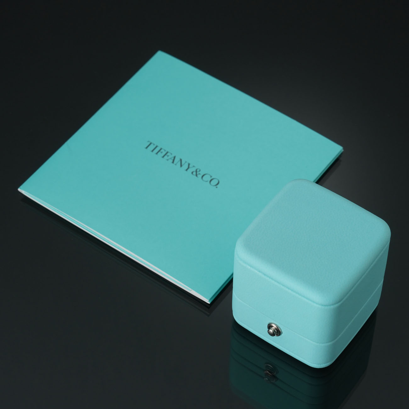 TIFFANY & CO.(USED)티파니 T 다이아 와이어 밴드 링 #49