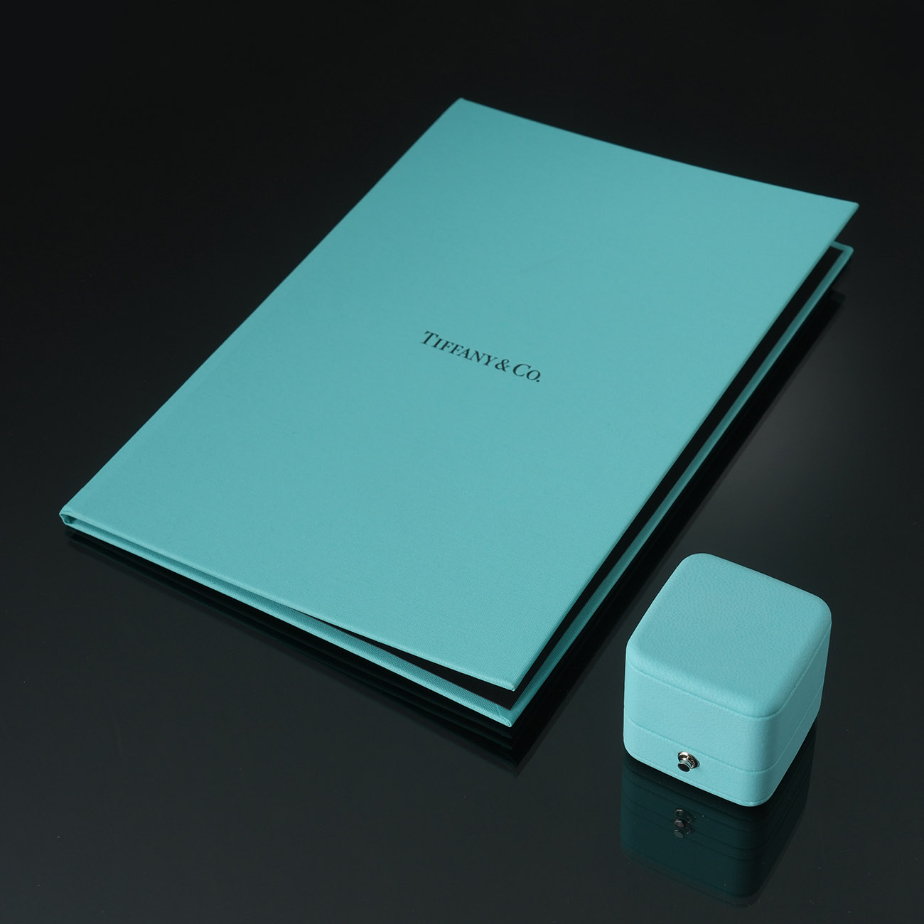 TIFFANY & CO.(USED)티파니 1.01ct 다이아 웨딩 밴드 #5
