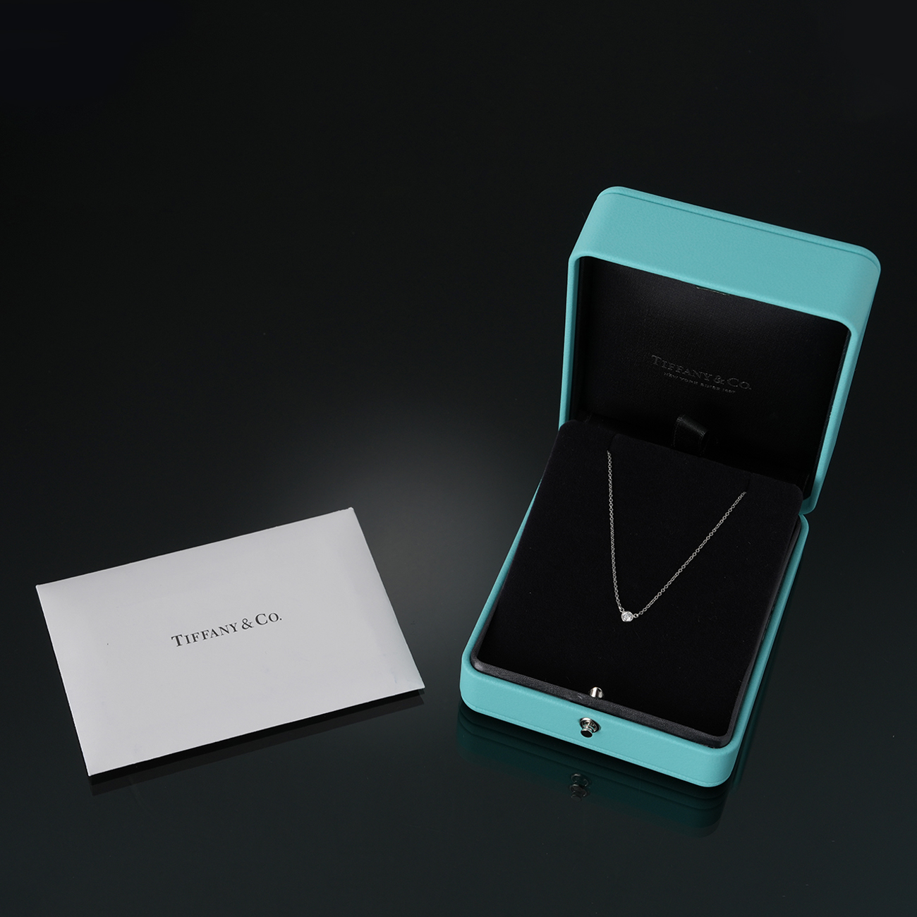 TIFFANY & CO.(USED)티파니 바이 더 야드 다이아 네크리스