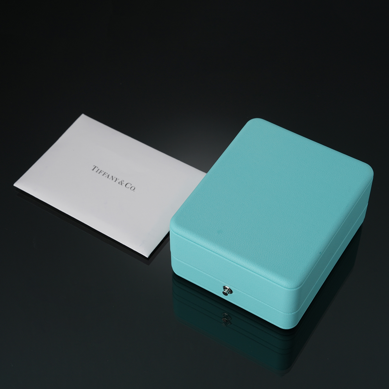 TIFFANY & CO.(USED)티파니 바이 더 야드 다이아 네크리스