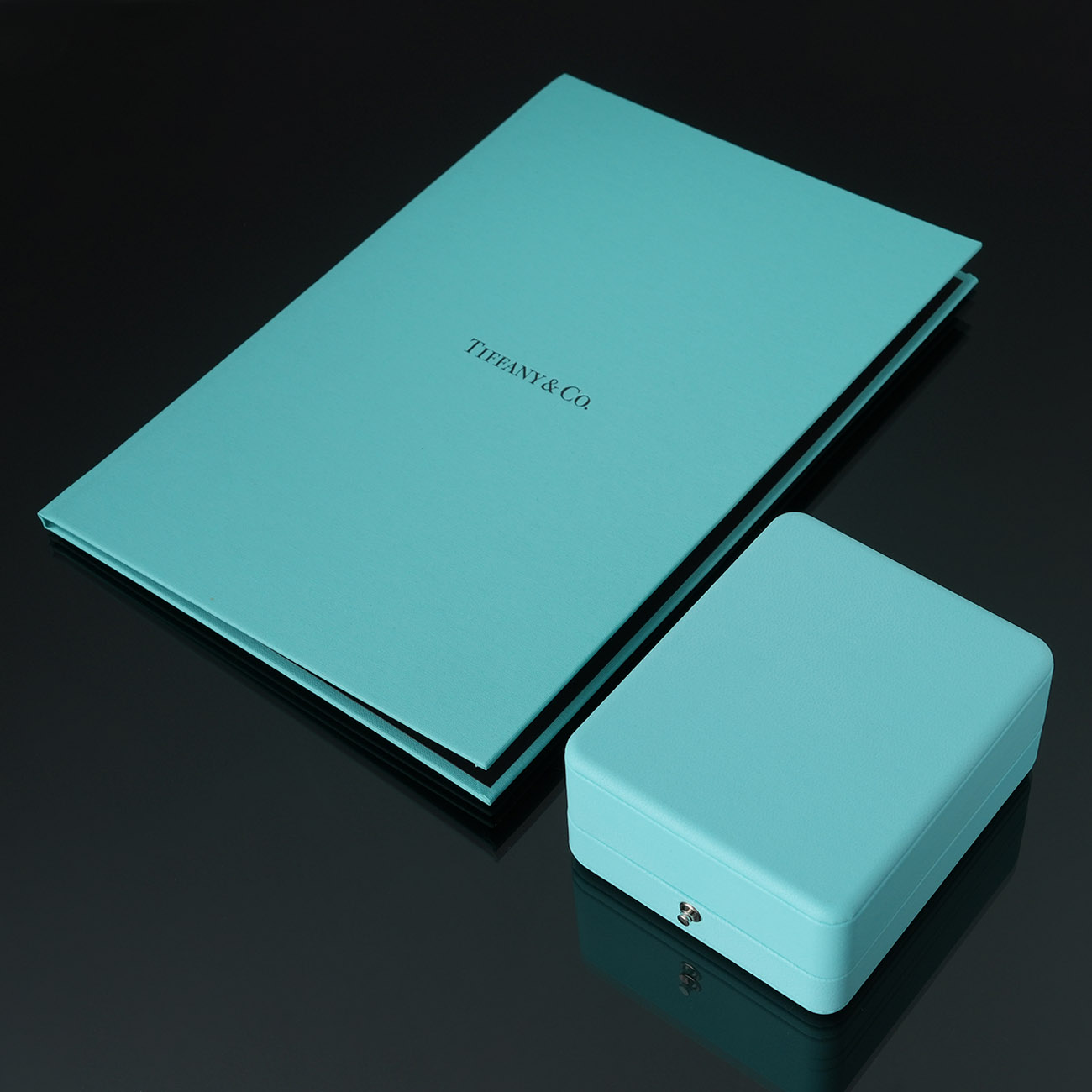 TIFFANY & CO.(USED)티파니 0.26ct 다이아 네크리스
